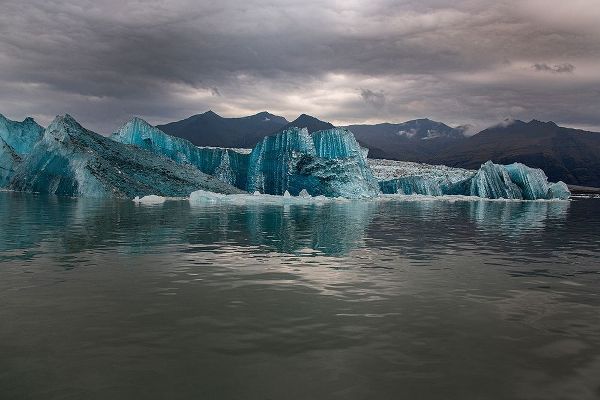 Icebergs from the Jokulsarlon glacier adrift in Jokulsarlon lagoon in Iceland